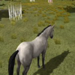 Horse Game